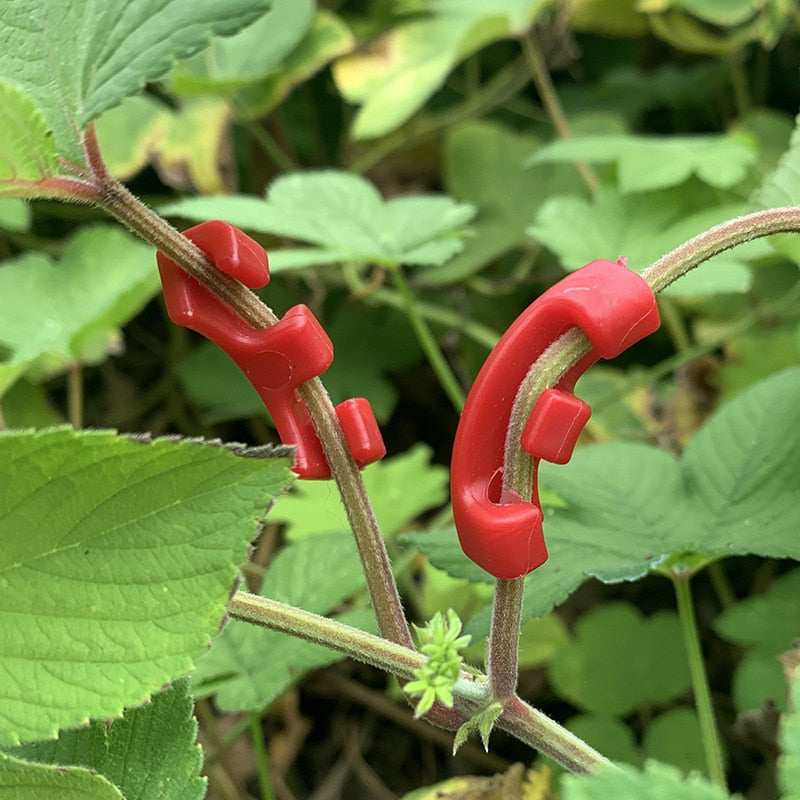 90 Degree Plant Bender for Plant Training and Low Stress Training