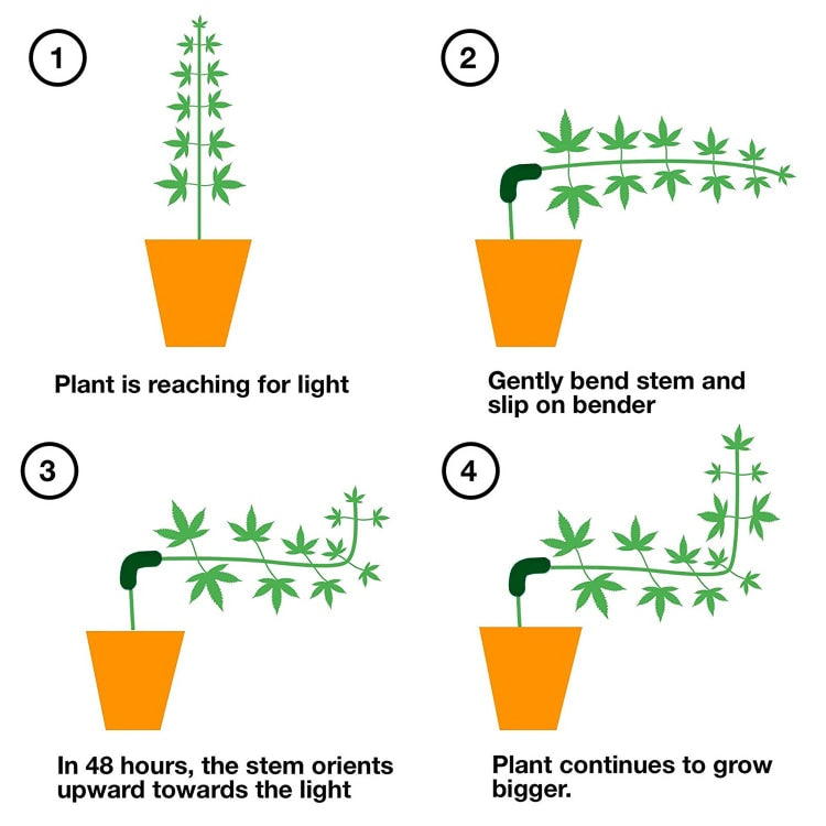 90 Degree Plant Bender for Plant Training and Low Stress Training